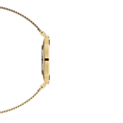 Daniel Wellington Classic Petite Evergold White Dial Gold Mesh Bracelet Watch For Women - DW00100350