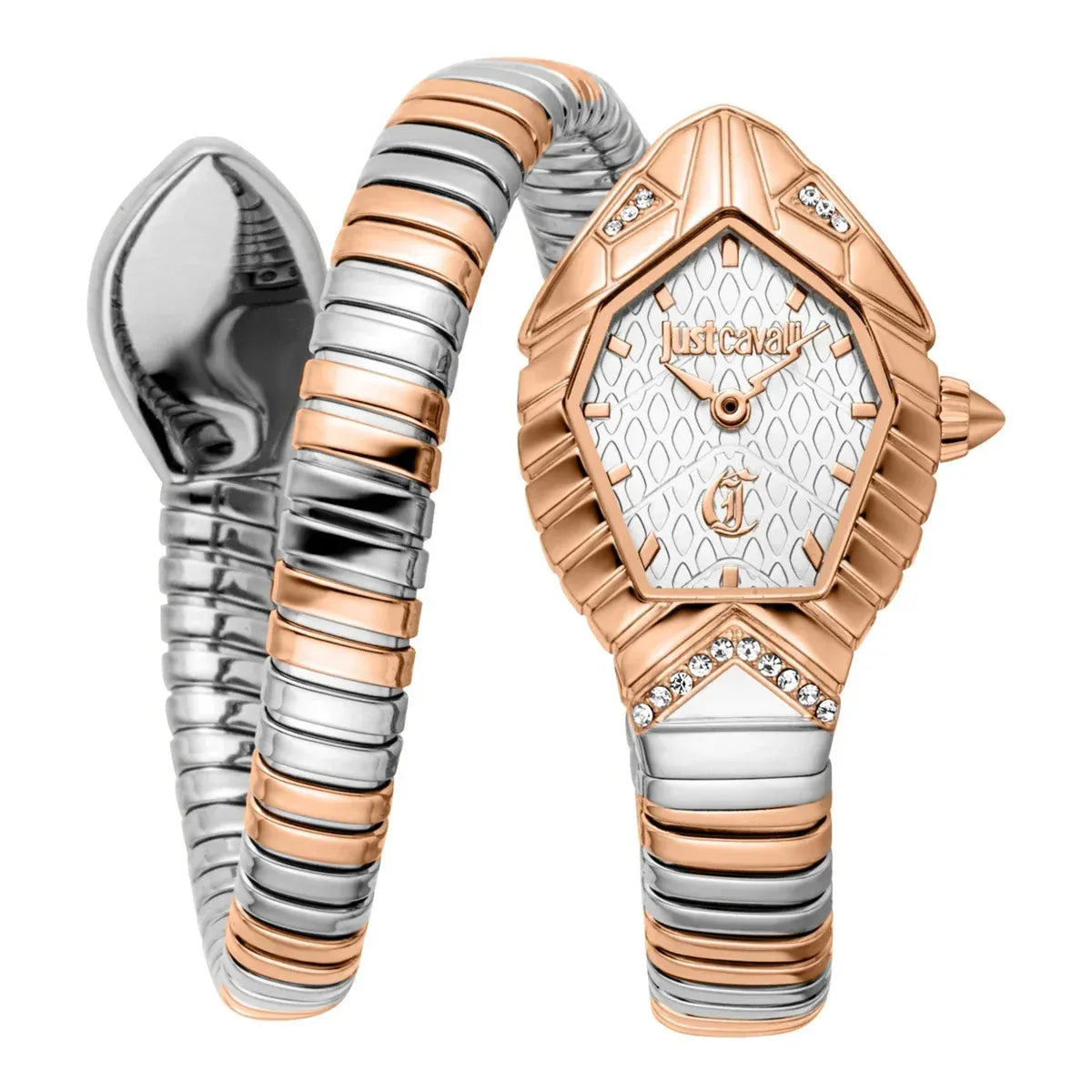 Just Cavalli Speranza Silver Dial Two Tone Steel Strap Watch for Women - JC1L356M0065